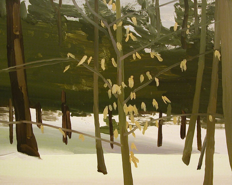Snow and Pine Trees, 2005, oil on Masonite, 13 x 16 inches