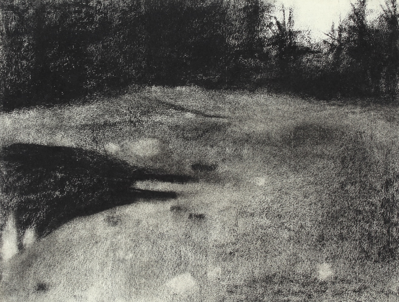 Dark Pool, c. 1958, charcoal on paper, 10 1/8 x 13 inches