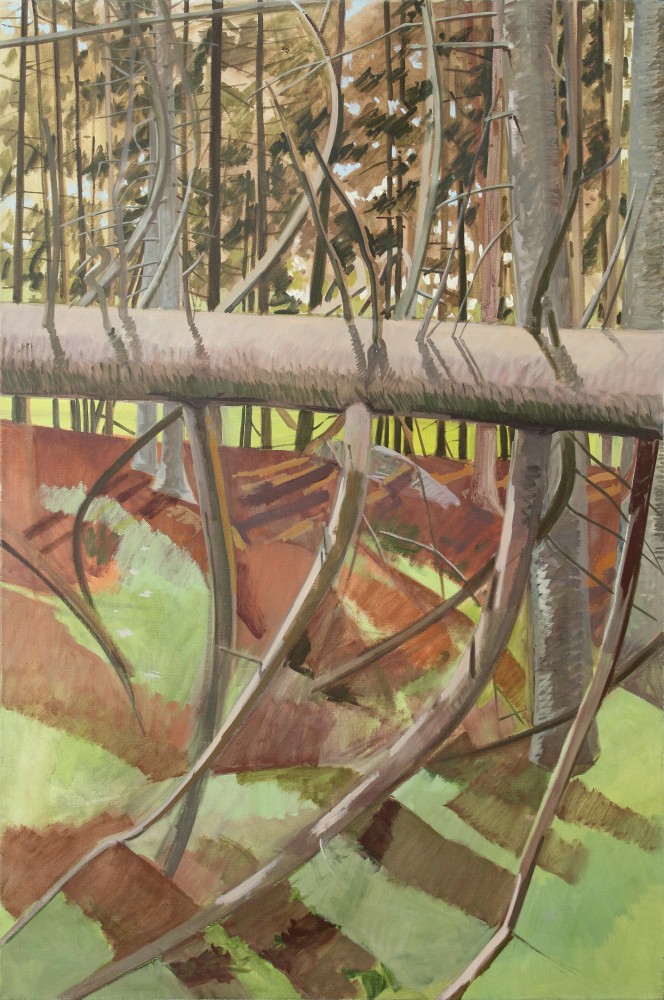 Fallen Tree Section, 1980, oil on linen, 60 x 40 inches