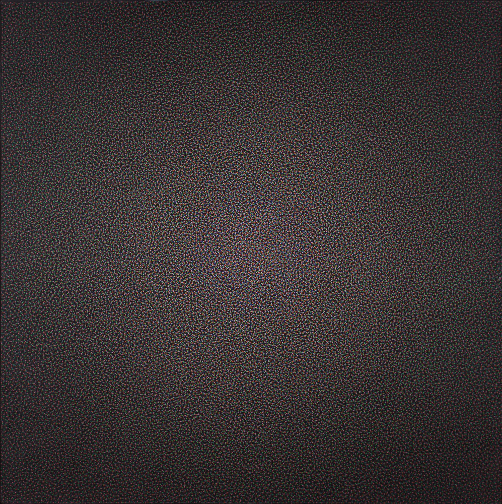 Daisy Newman, 1984-1985, oil on canvas, 44 x 44 inches