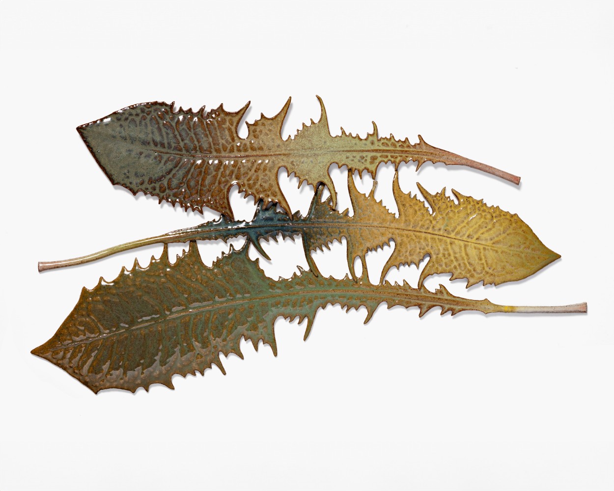 MARIANNE NIELSEN
Three Dandelion Leaves, 2023
Glazed stoneware
9.5&amp;rdquo; H x 17.75&amp;rdquo; W, G