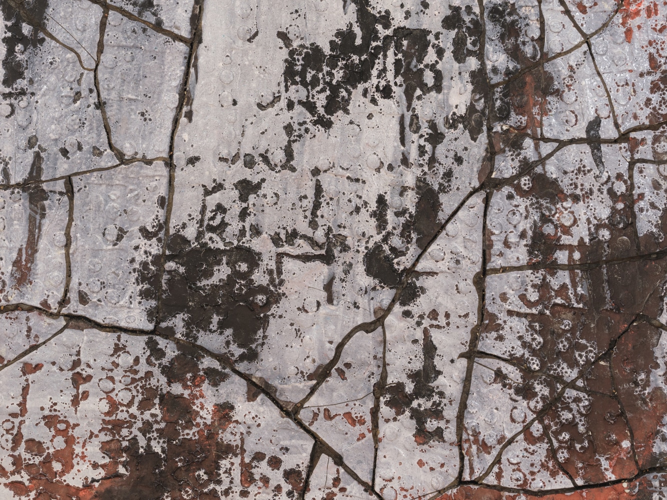 PEKKA PAIKKARI
Silence of the First Snow, 2024
Glazed stoneware, reclaimed wood
53.5" H x 44.75" W