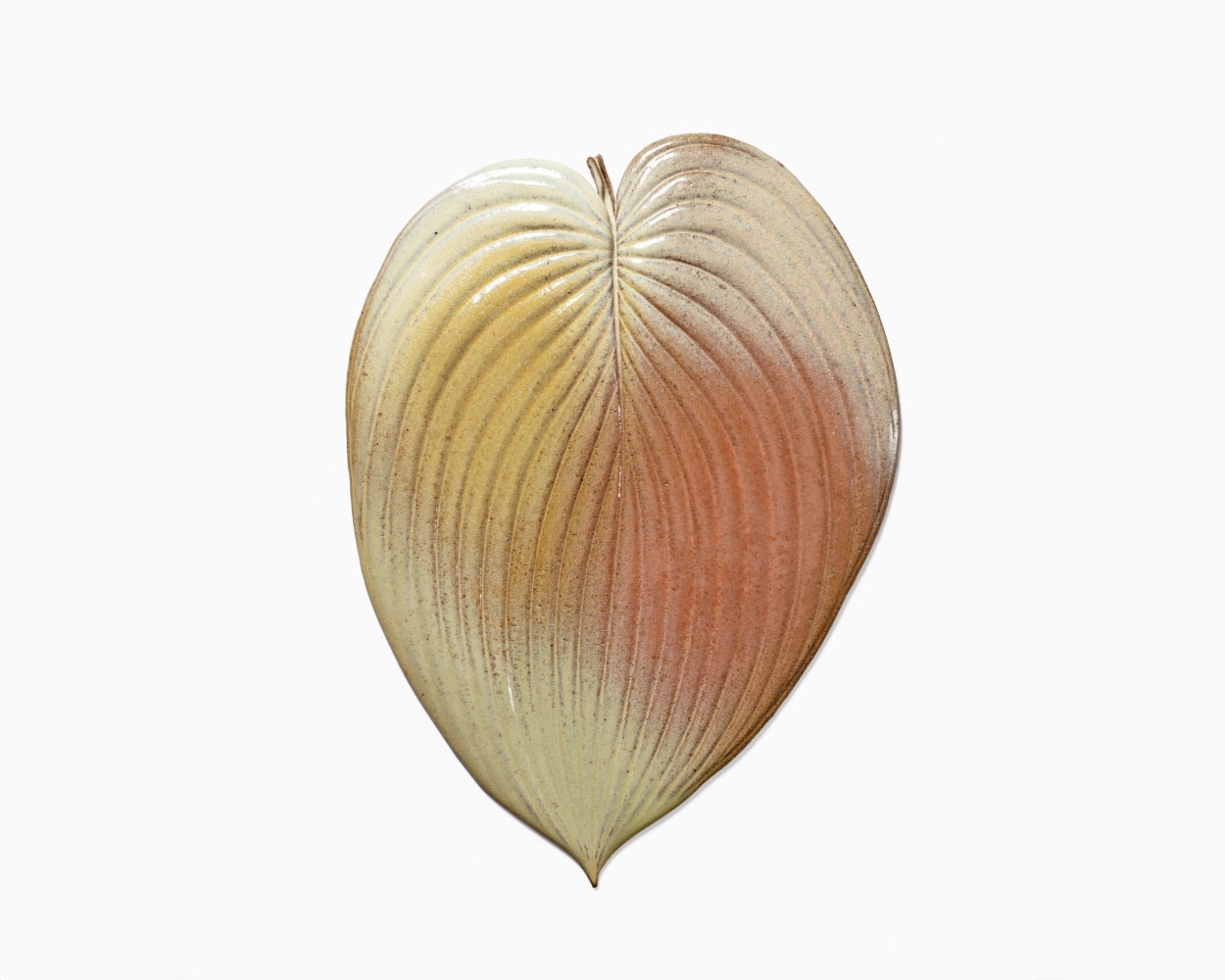 MARIANNE NIELSEN
Hosta, 2024
Glazed stoneware
19&amp;quot; H x 14&amp;quot; W