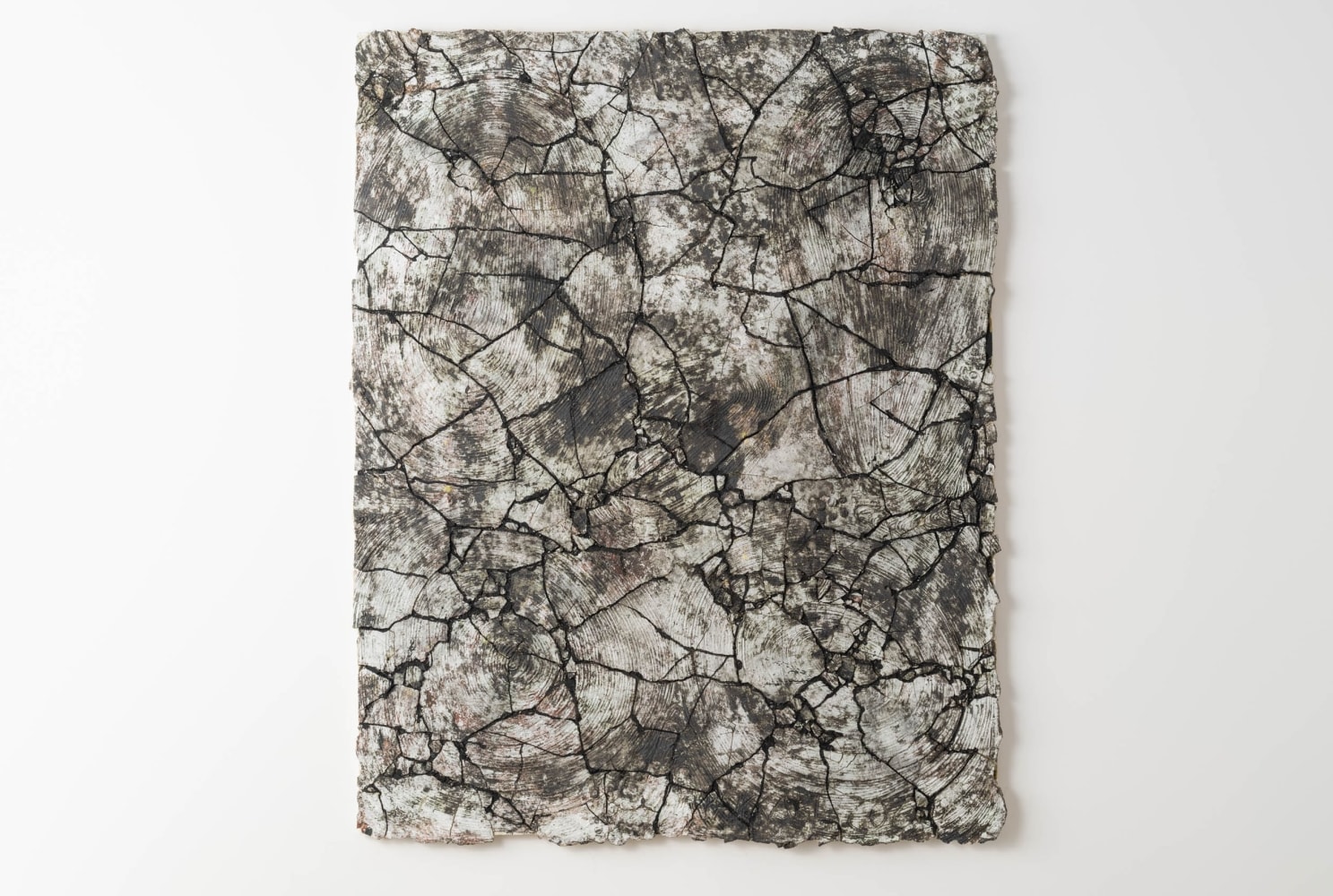 PEKKA PAIKKARI
The Disappearing Fragility of Winter, 2023
Glazed stoneware, reclaimed wood, paint
71" H x 56" W