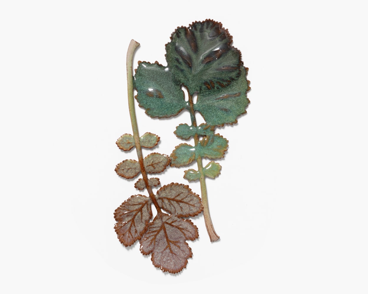 MARIANNE NIELSEN
Two Herb Bennet Leaves, 2023,
Glazed stoneware
10&amp;rdquo; H x 6&amp;rdquo; W