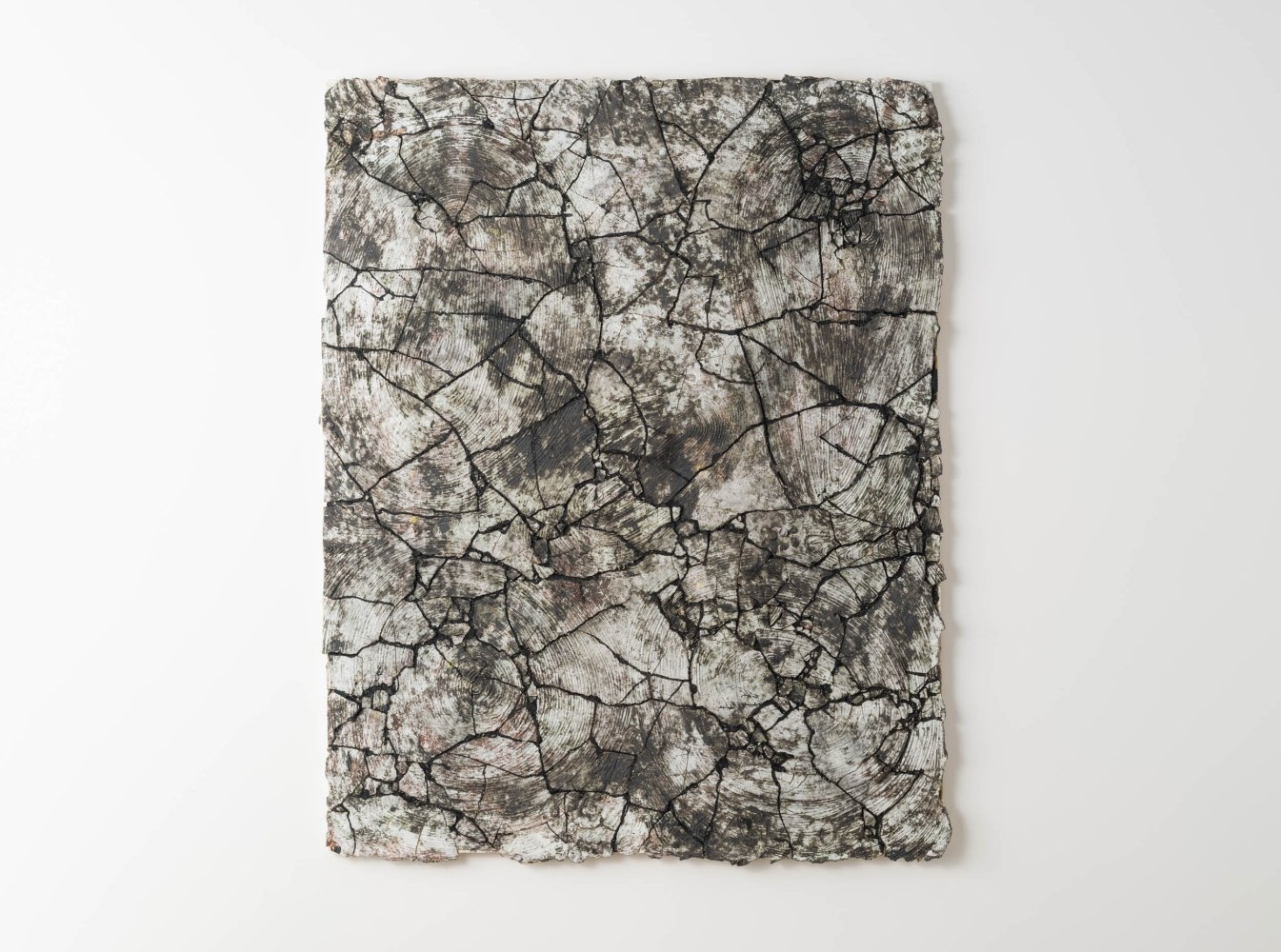 PEKKA PAIKKARI
The Disappearing Fragility of Winter, 2023
Glazed stoneware, reclaimed wood, paint
71" H x 56" W