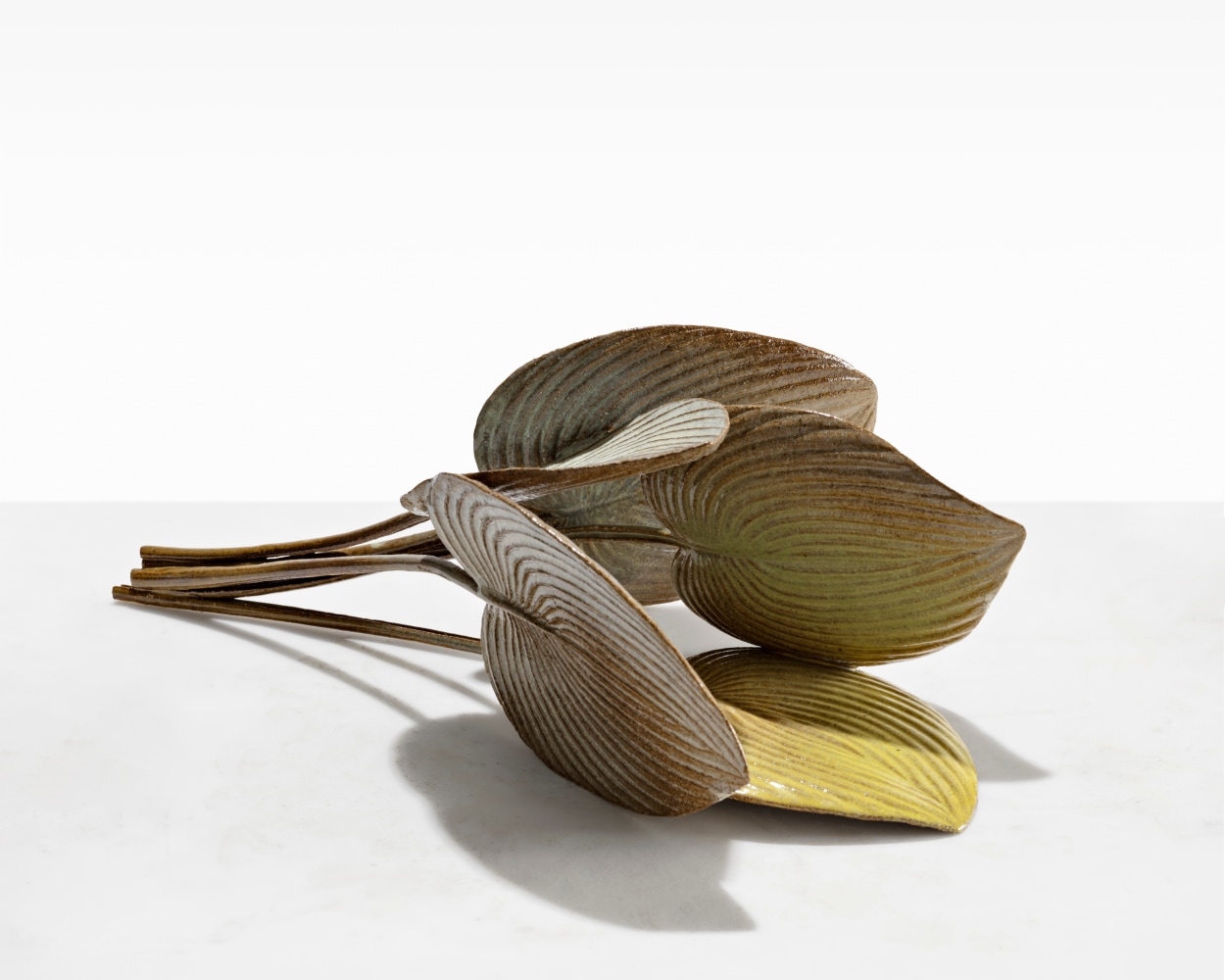 MARIANNE NIELSEN
Five Hosta Leaves, 2023
Glazed stoneware
6.75&amp;rdquo; H x 18.75&amp;rdquo; W x 11.75&amp;rdquo; D
