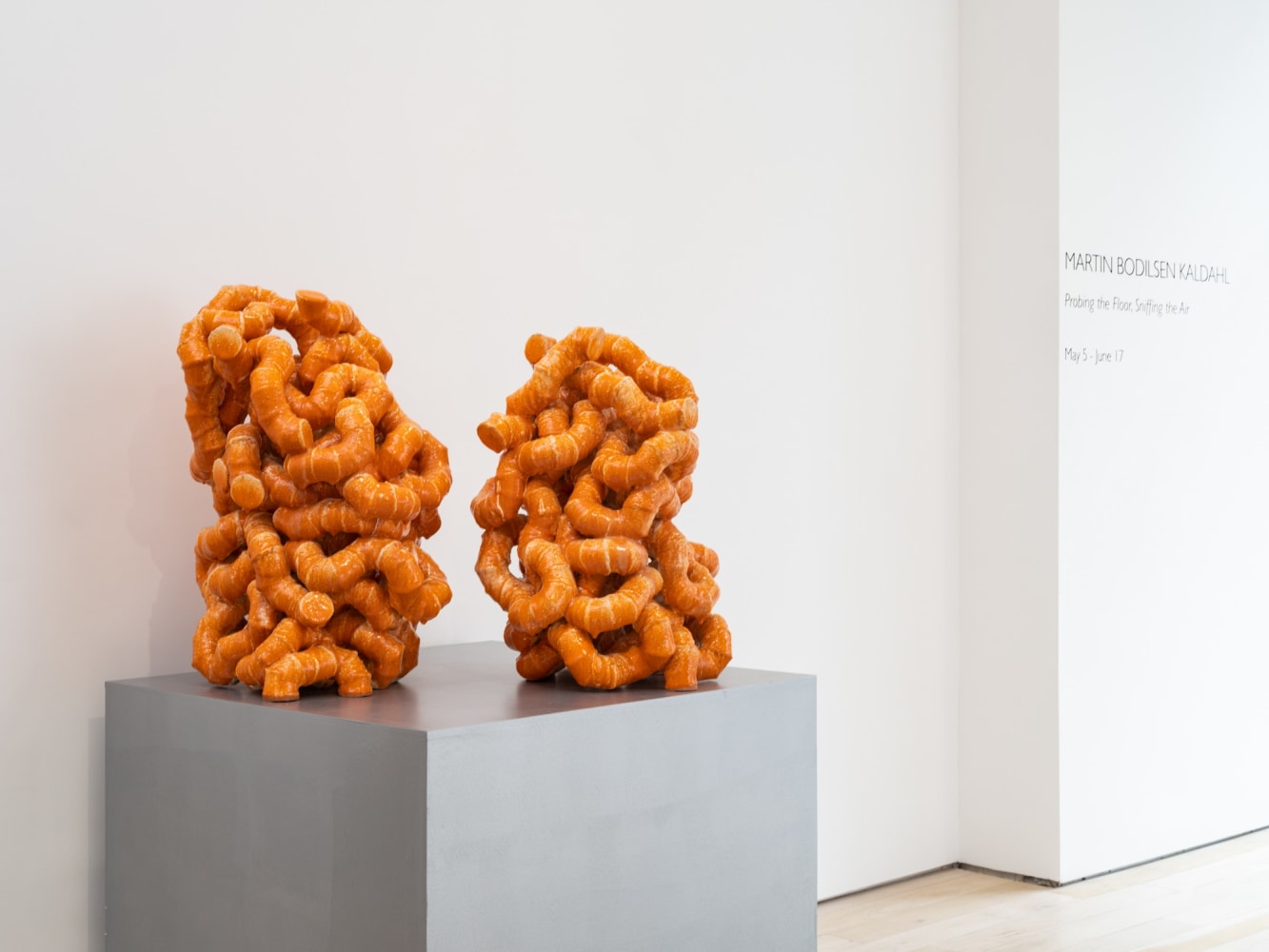 Probing the Floor, Sniffing the Air