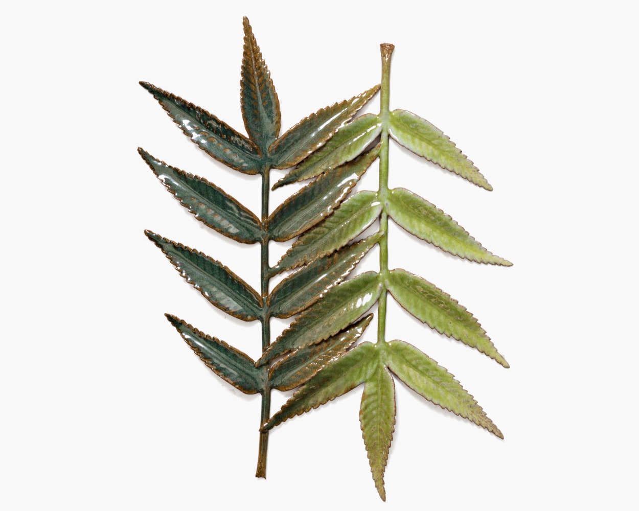 MARIANNE NIELSEN
Two Rowan Leaves, 2023
Glazed stoneware
11&amp;rdquo; H x 8.5&amp;rdquo; W