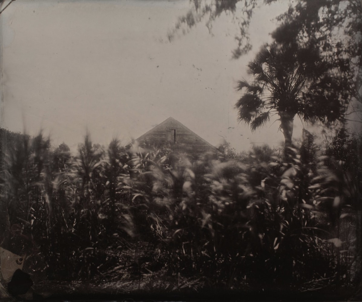 Thursday, April 24, 5:30pm
Onsite VIP Tour: Rashod Tayor and Obscura Gallery
643 Park Ave, New York, NY 10065

&amp;nbsp;

Join photographer Rashod Tayor and Obscura Gallery for a VIP tour of Taylor&amp;#39;s favorite works on view at The Photography Show 2025.&amp;nbsp;


Rashod Taylor is a fine art and portrait photographer whose work addresses themes of family, intimacy, legacy, and the black experience. At this edition of The Photography Show, Obscura Gallery presents Rashod Taylor&amp;#39;s &amp;lsquo;My America&amp;rsquo;, a meditation on history and its undeniable grip on the present. On &amp;#39;My America&amp;#39;, Taylor says, &amp;quot;As a Black man with deep family ties to military service, my great-uncle Lecky Taylor served in WWII, alongside many of my cousins in future generations, I often ask, what is patriotism? How does one fight for a country that denies them dignity? This tension runs through my work, exposing the ways racism, inequality, and injustice are not relics of the past but forces still shaping Black life today.&amp;quot;


&amp;nbsp;Taylor&amp;#39;s photographs are part of the permanent collections of the Smithsonian&amp;rsquo;s National Museum of African American History &amp;amp; Culture, The Library of Congress Prints &amp;amp; Photographs Division, The Museum of Fine Arts Houston and The Nelson-Atkins Museum of Art.

&amp;nbsp;

Event capacity: 20

&amp;nbsp;

RSVP here


Image: Rashod Taylor, Sugar Cane, Whitney Plantation, 2024, 20 x 24&amp;quot;, unique tintype