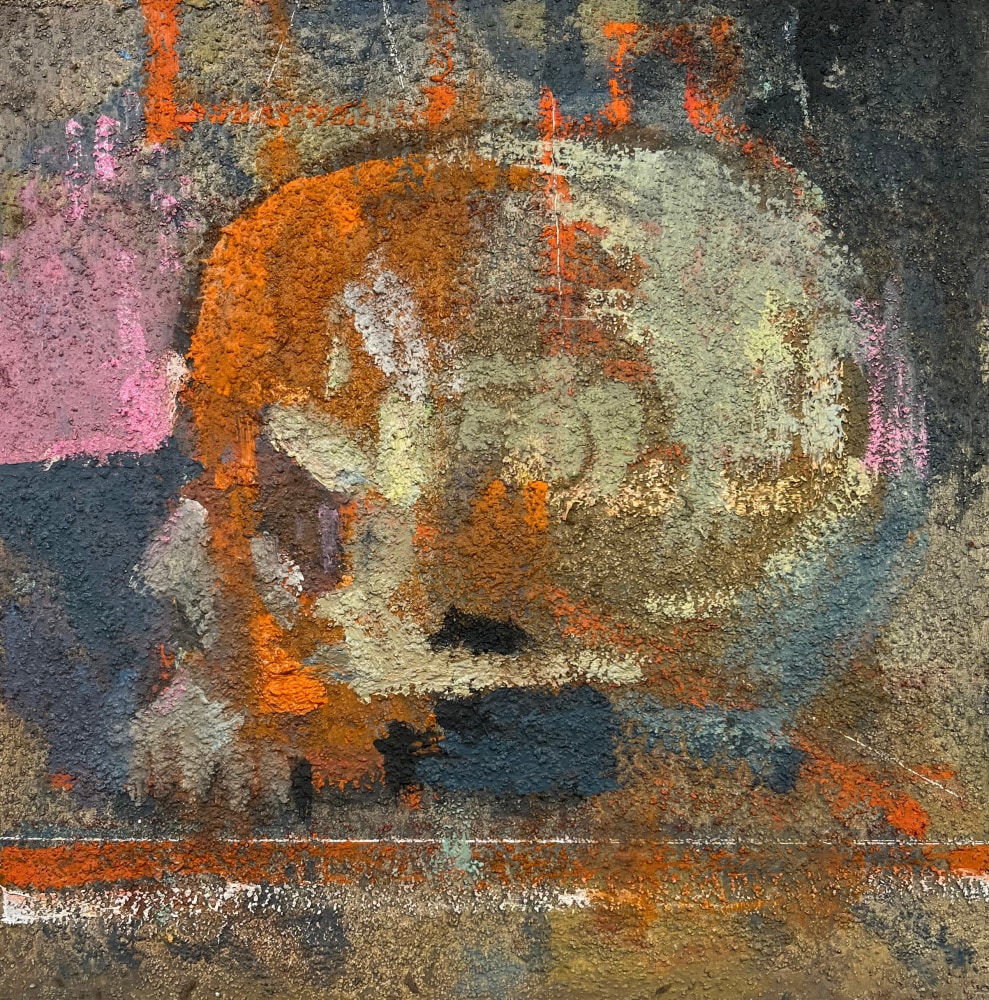 Richard Lillash-Skull Study