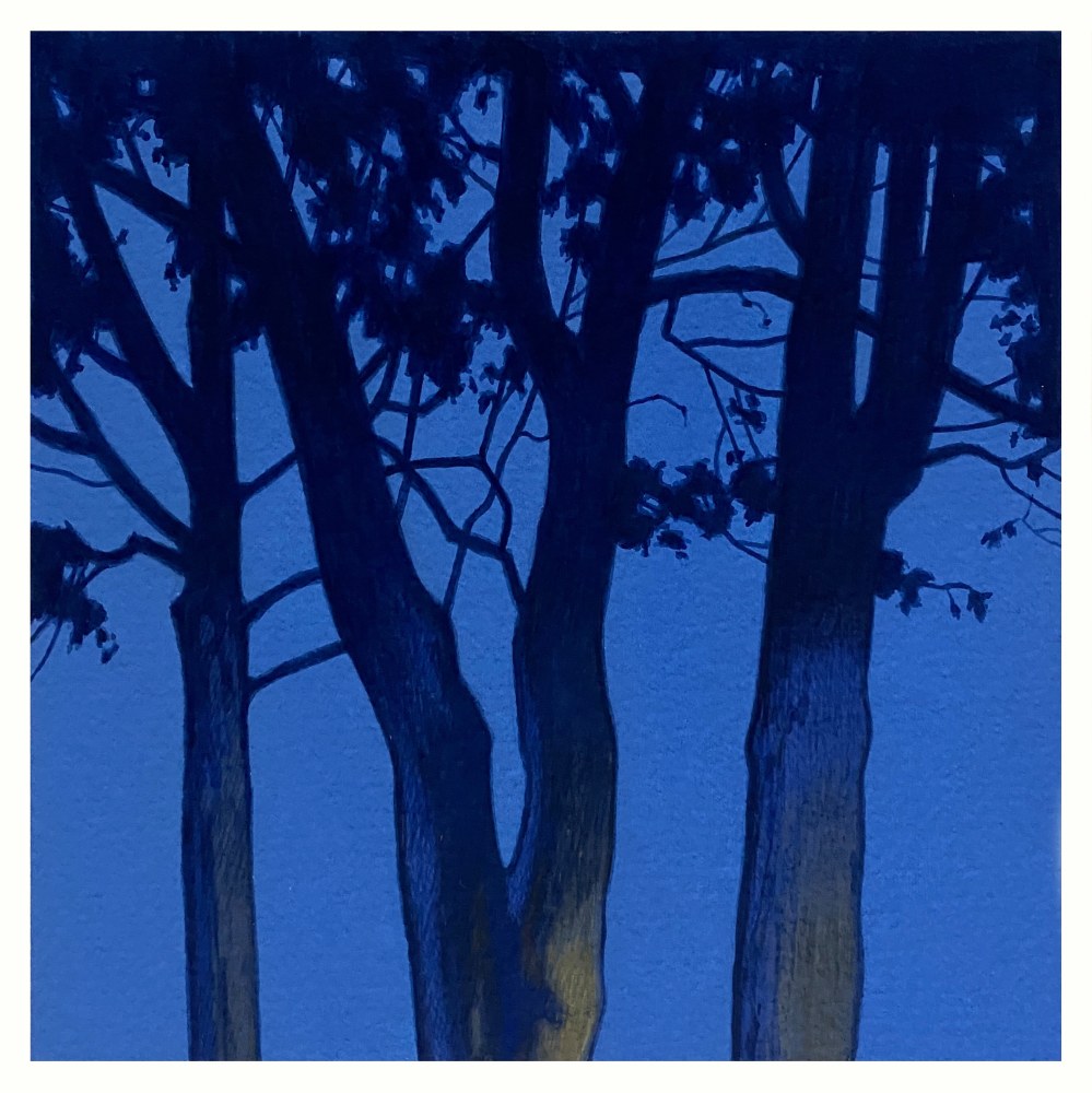 Dresden Trees 8