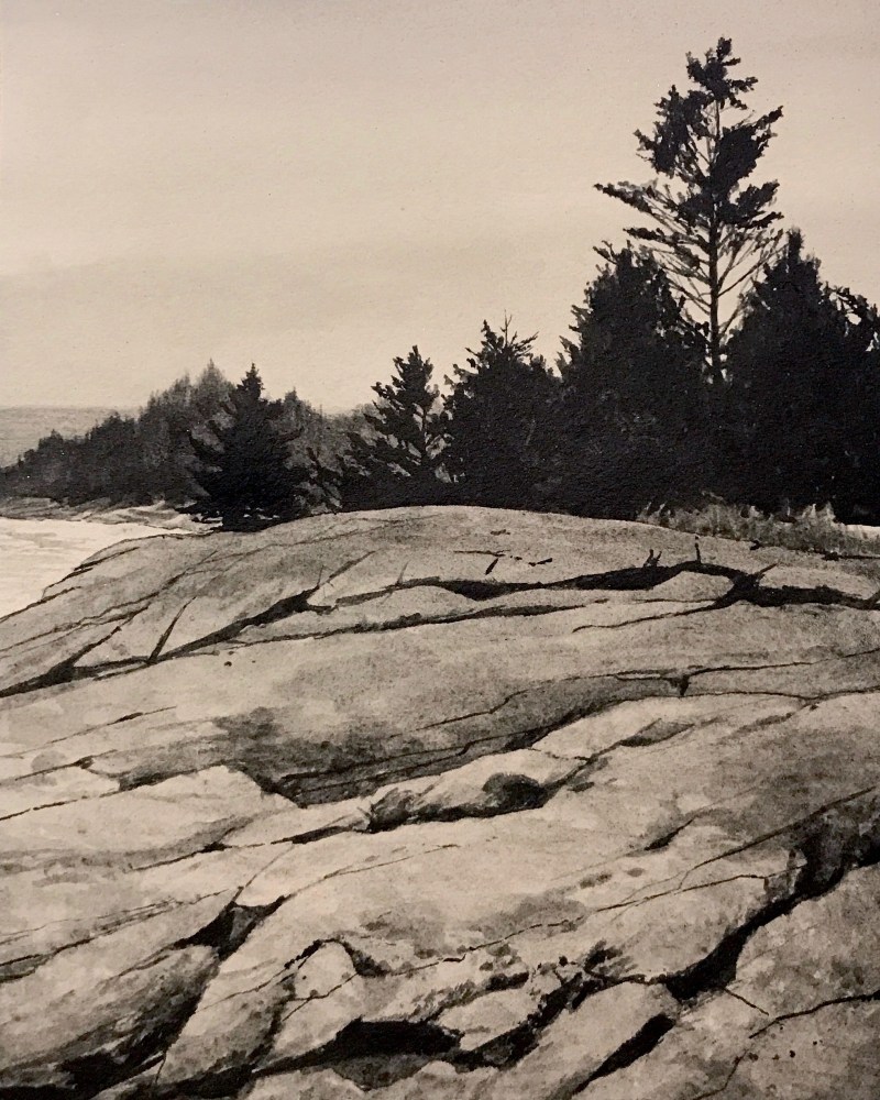 Maine Coast 1