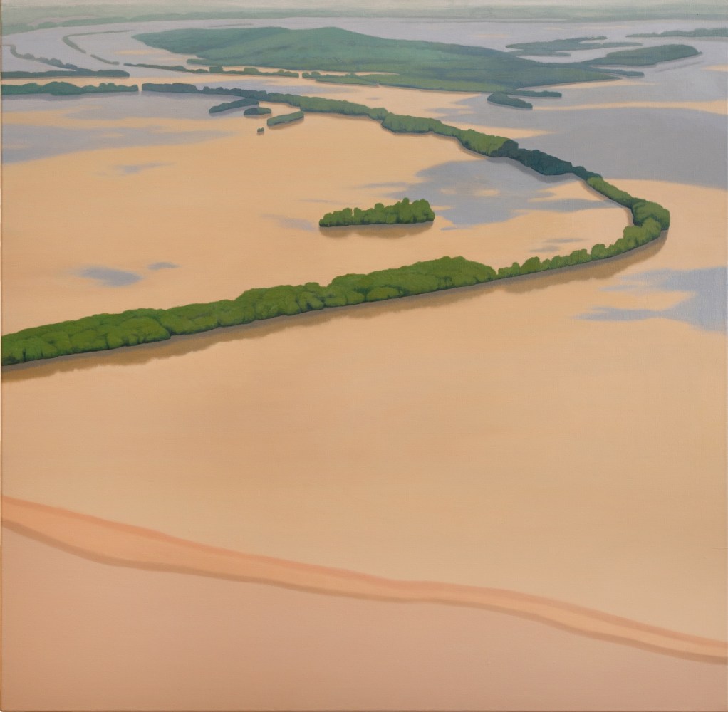 Flooded Landscape 10