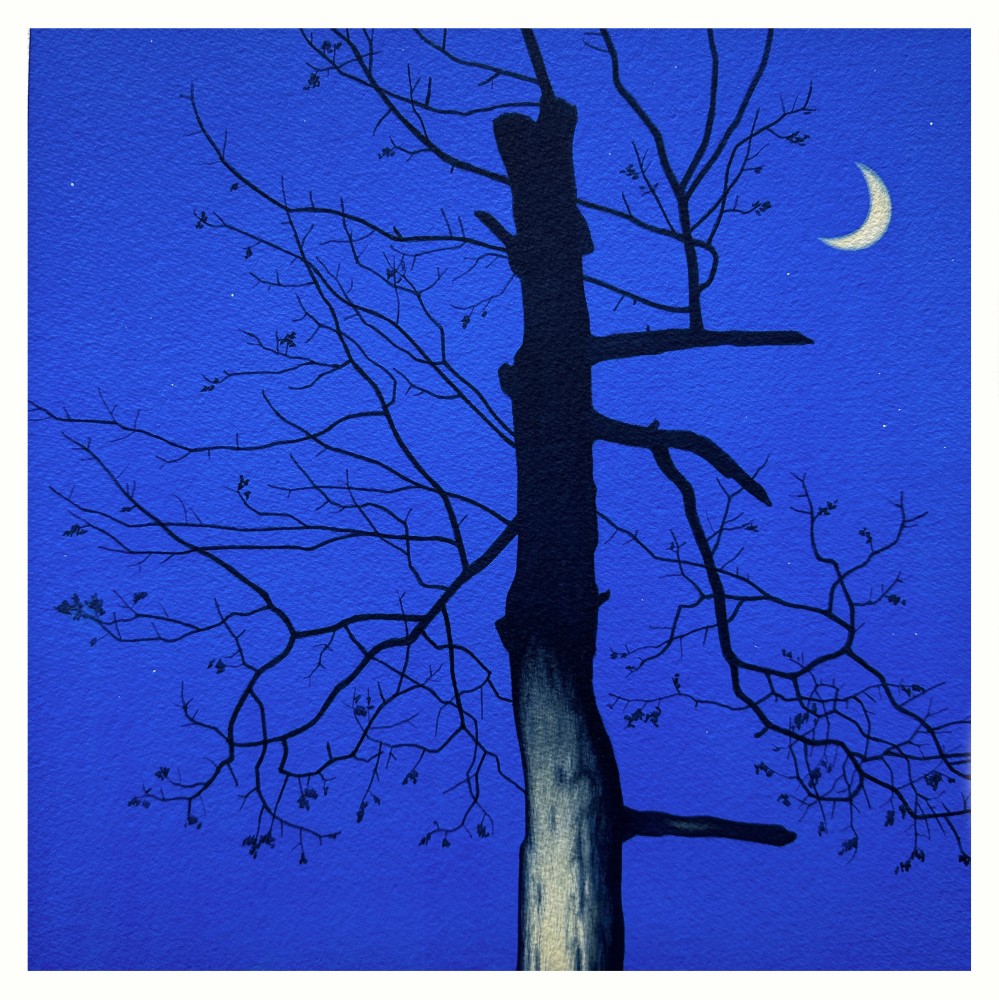 Dresden Trees 22