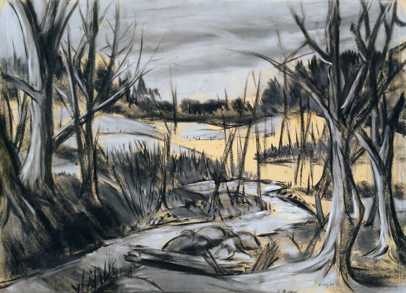 Walden Woods