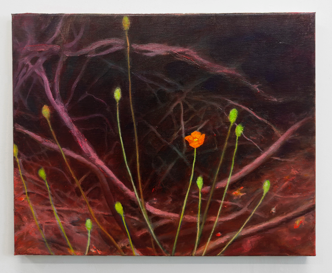 Fire Follower: Fire Poppies