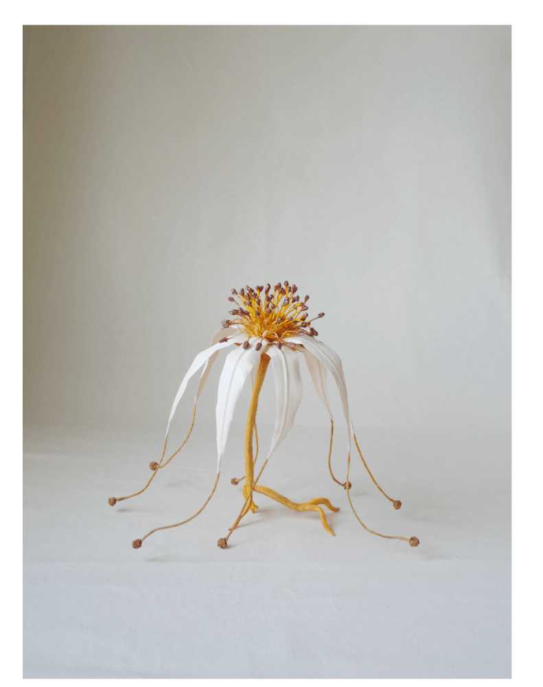 Future Flower Inspired by Rose of Jericho
