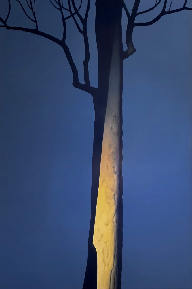 Illuminated Solo 1