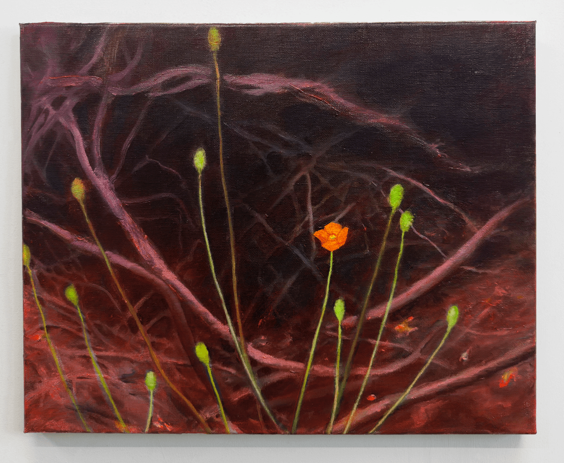 Fire Follower: Fire Poppies