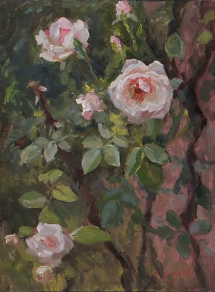 Climbing Roses