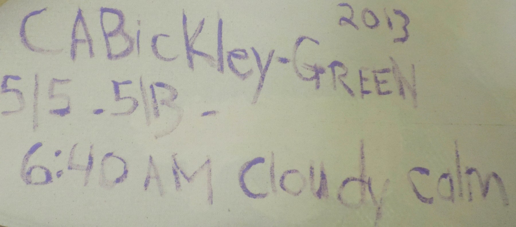 6:40 AM&amp;nbsp;Cloudy Calm (signature verso), 2013

acrylic on canvas

48&amp;quot; x 48&amp;quot;