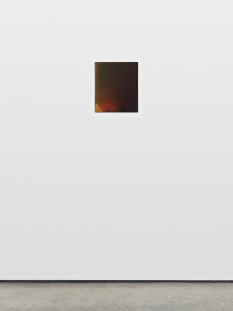 Art Basel Online Viewing Rooms Viewing Room David Kordansky Gallery