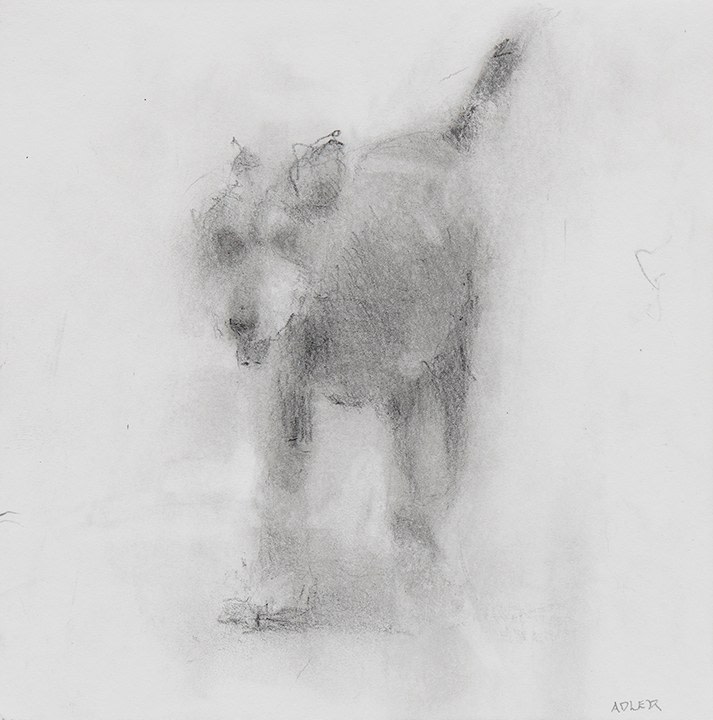 Laura Adler Untitled #104, 2018 graphite on paper 6 x 6 in.