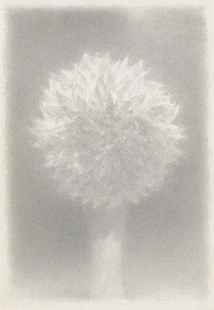 Fred Dalkey White Dahlia, 2011 silver point with sgrafitto on paper ​​​​​​​11 x 7 1/2 in.