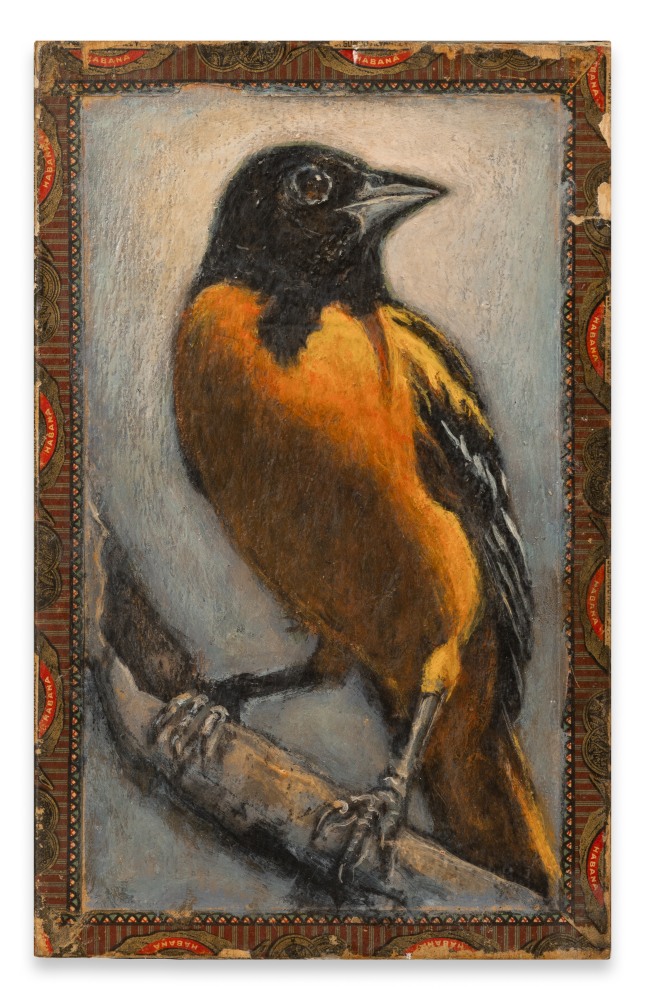 Ed Musante Baltimore Oriole / Lord Beaconsfield, 2019 mixed media on cigar box 8 7/8 x 5 9/16 x 2 9/16 in.
