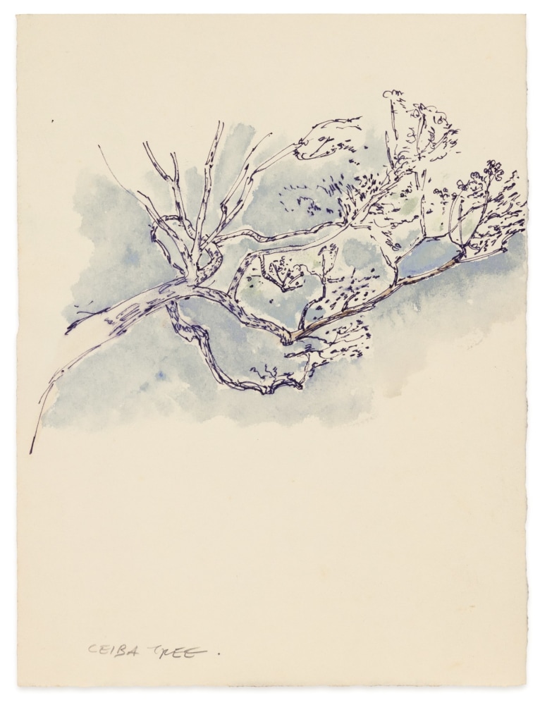 Arthur Okamura, Ceiba Tree, circa 1967, watercolor on paper, 9 3/8 x 7 1/8 inches