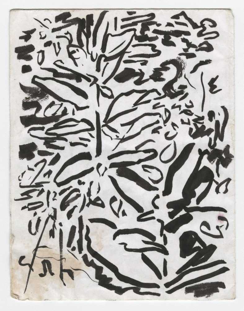 David Wilson

Garden, pocket, 2016

ink on folded paper with artist built frame

14 x 12 in.