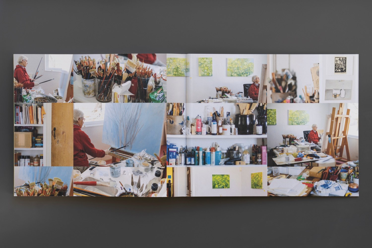 Sylvia Plimack Mangold