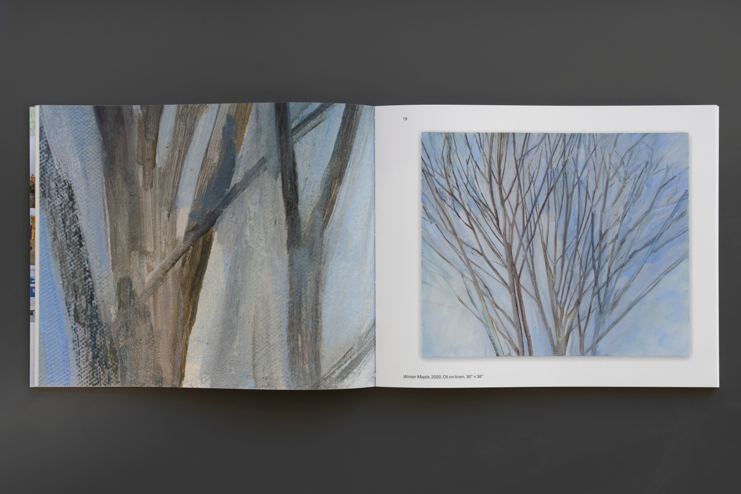 Sylvia Plimack Mangold