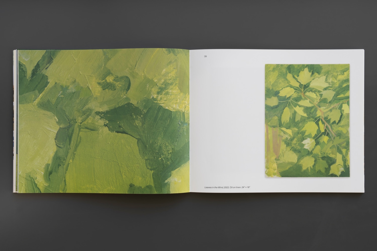 Sylvia Plimack Mangold