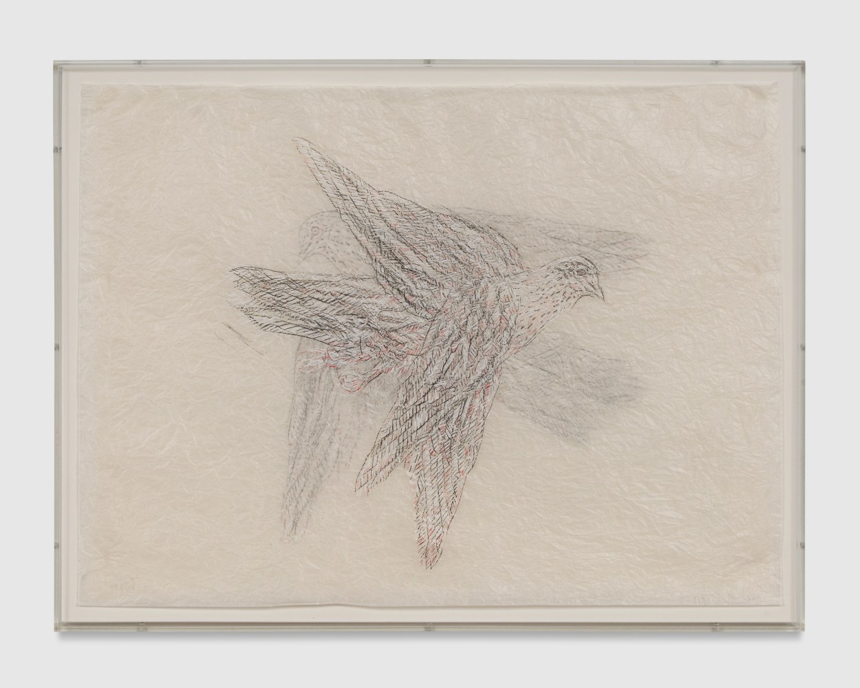 Kiki&amp;nbsp;Smith

Shadow Drawing August,&amp;nbsp;2024

crayon and watercolor on gampi silk tissue

18-1/4&amp;quot; &amp;times; 24-3/4&amp;quot; (46.4 cm &amp;times; 62.9 cm)