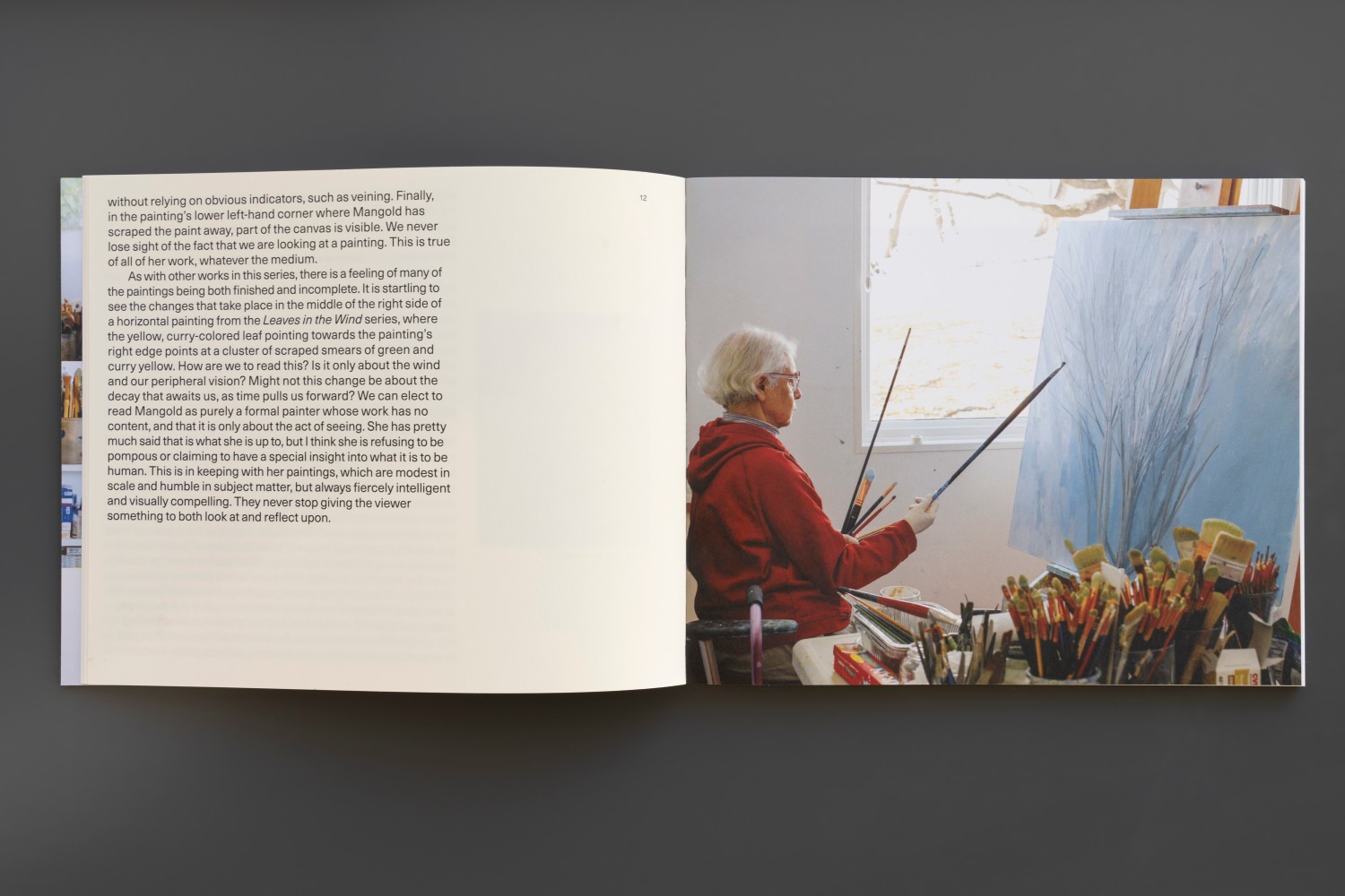 Sylvia Plimack Mangold