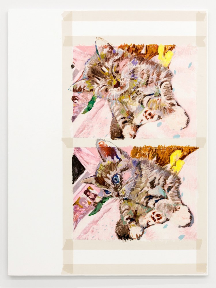 Nolan Simon

unus cursus quinque annos,&amp;nbsp;2015

oil, acrylic and laser print transfer on canvas

48&amp;quot; &amp;times; 36&amp;quot; (121.9 cm &amp;times; 91.4 cm)