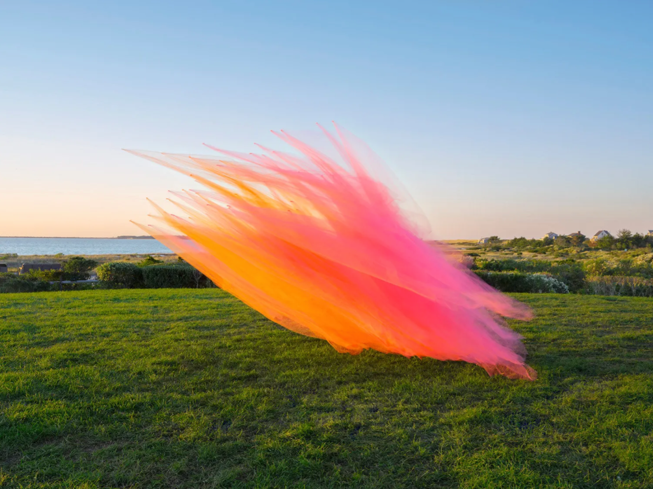 Thomas Jackson, Tulle no. 46, Nantucket, Massachusetts, 2022