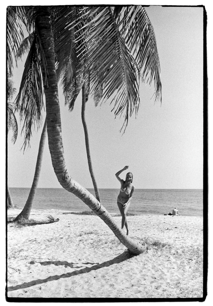 Al Satterwhite, Brenda / Palm Tree, 1964