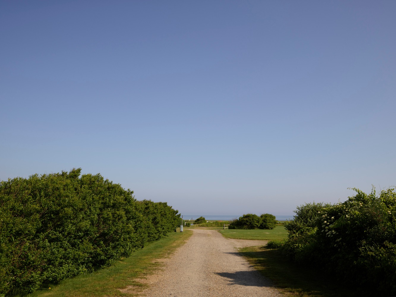 Nathan Coe  Driveway to Heaven, 2024