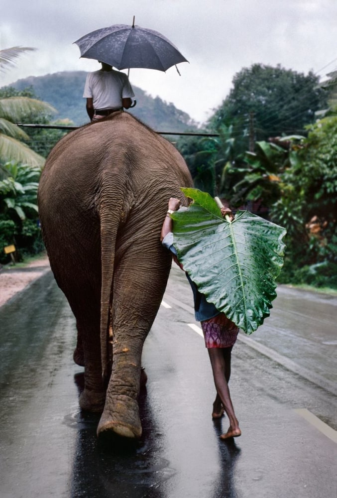 Steve McCurry  Young Man walks behind Elephant, Sri Lanka