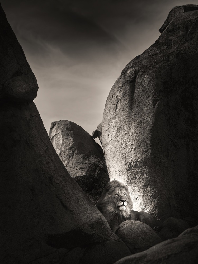 Joachim Schmeisser  Lion Rock I, Tanzania, 2022