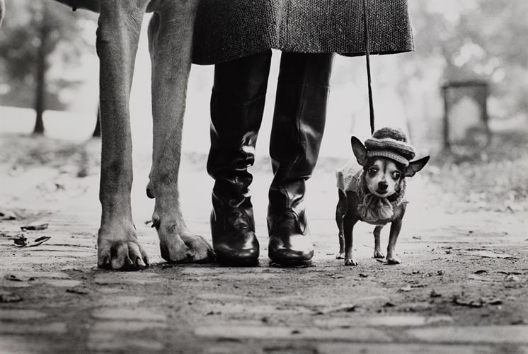 Elliott Erwitt Felix Gladys Rover NYC