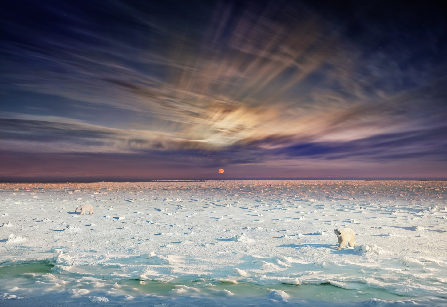Stephen Wilkes, Polar Bears, Churchill, Manitoba, Canada Day to Night, 2019