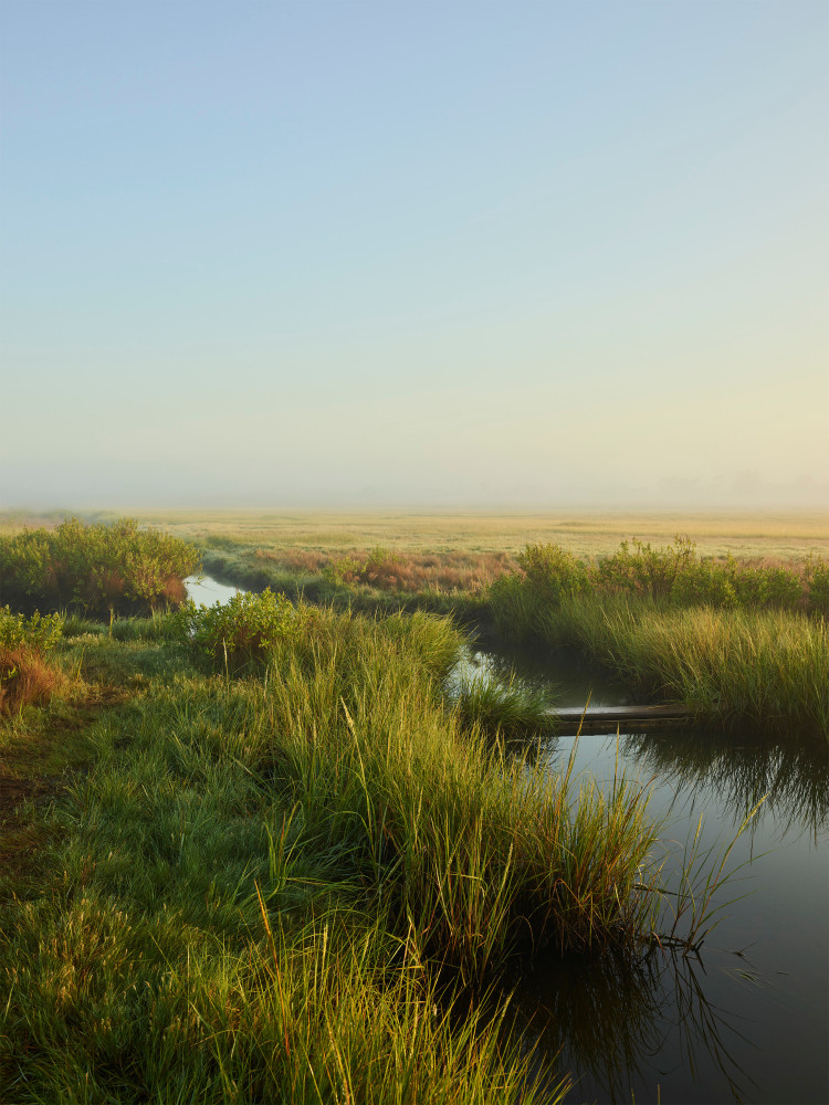 Nathan Coe  Madaket Creeks