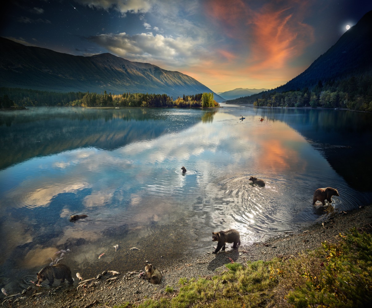 Stephen Wilkes, Grizzly Bears, Chilko Lake, B.C., Day to Night, 2022