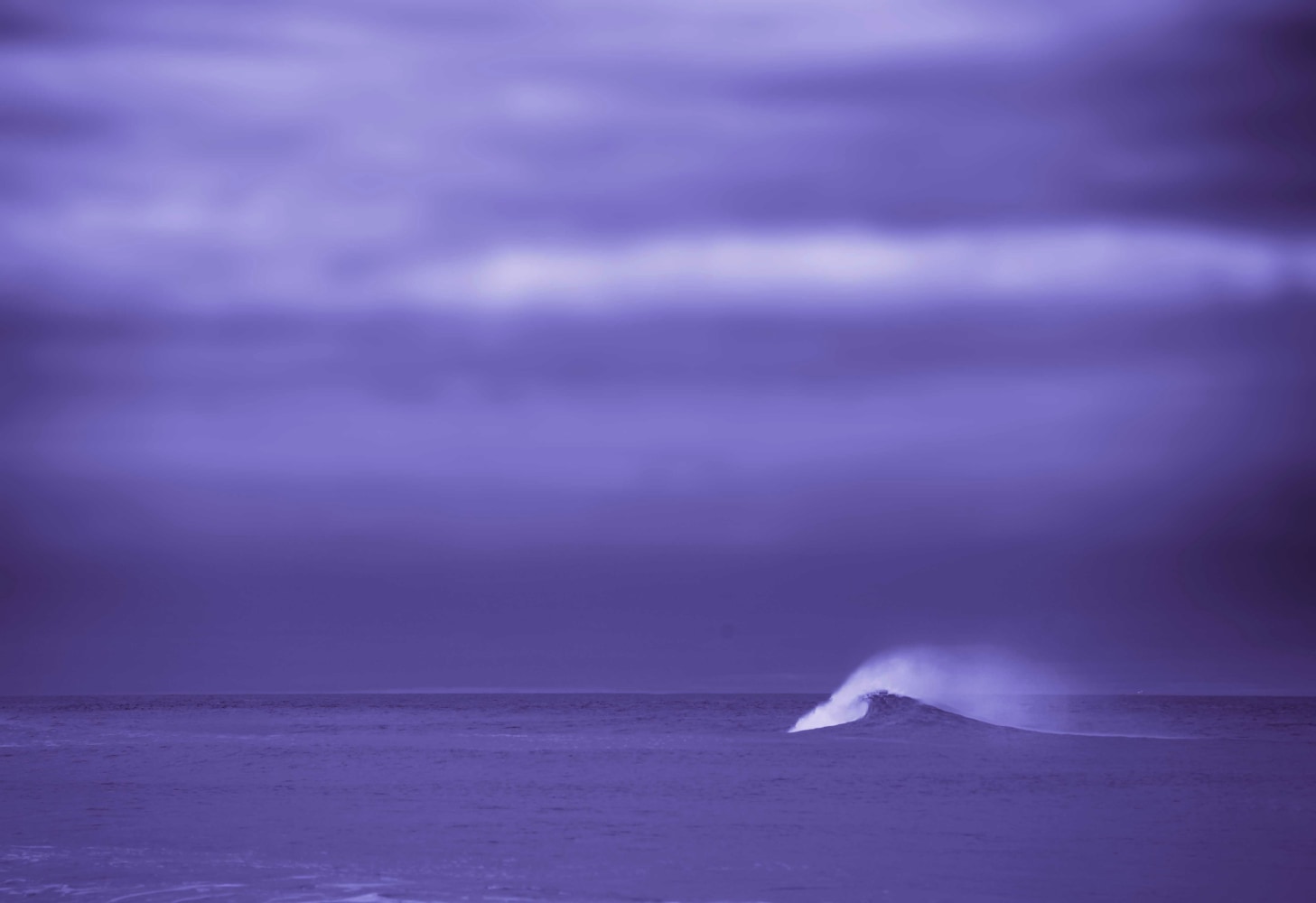 Andrew Blauschild, Purple Wave