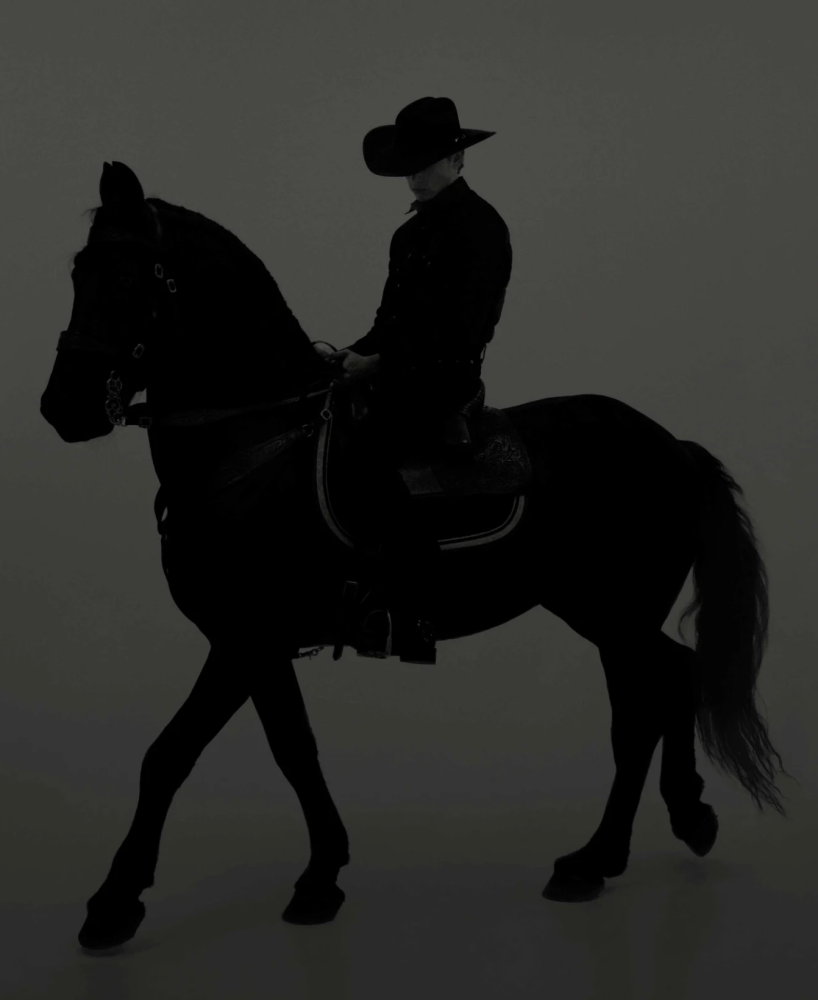 Dean West, Cade Silhouette #6, The Palms, 2022