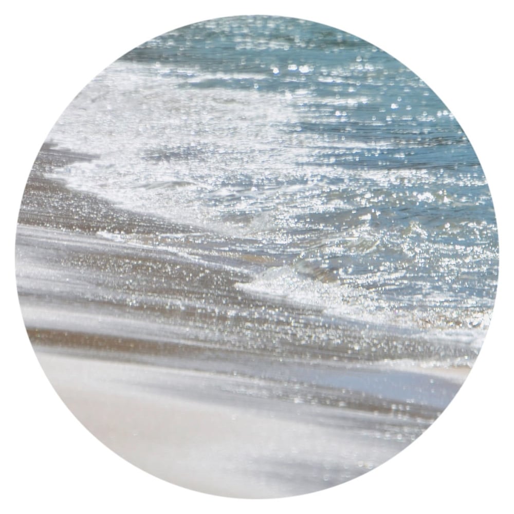 Jami Goldman, Eel Point Beach Walk, 2017